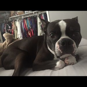 Meet your Posher, Cassidy